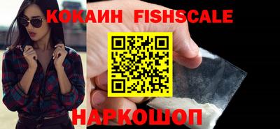 МДПВ Камышлов