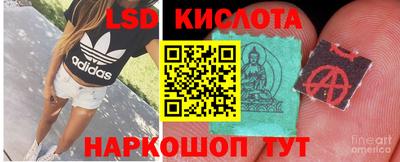 шишки Кандалакша