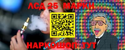 шишки Кандалакша
