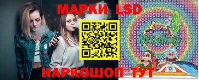 шишки Кандалакша