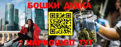шишки Кандалакша