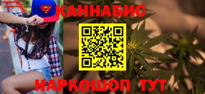 шишки Кандалакша