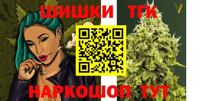 МДПВ Камышлов