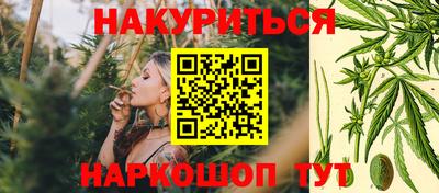 МДПВ Камышлов