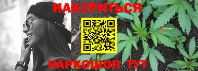 шишки Кандалакша