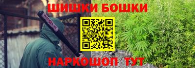 МДПВ Камышлов