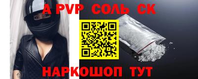 МДПВ Камышлов