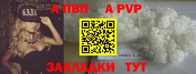 шишки Кандалакша