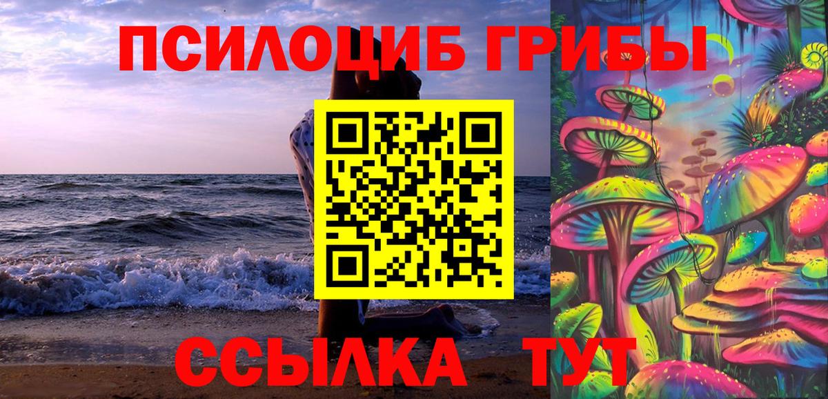 Карталы  Псилоцибиновые грибы мицелий  Вход с VPN 