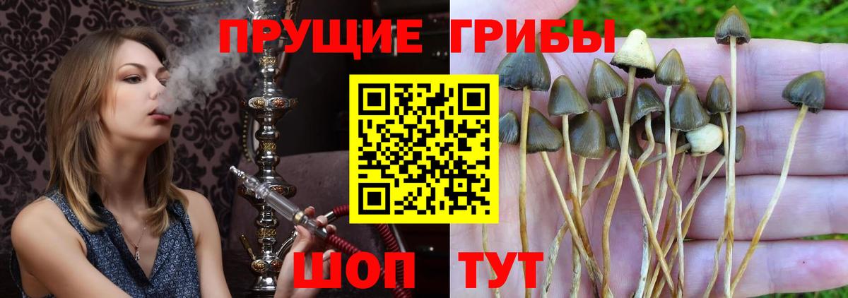 Гашиш Карталы